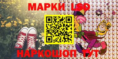 spice Кинель
