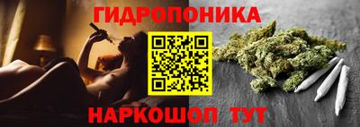 дмт Кимры