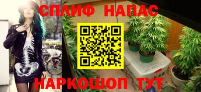 spice Кинель