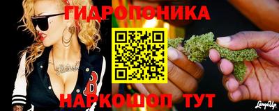 spice Кинель