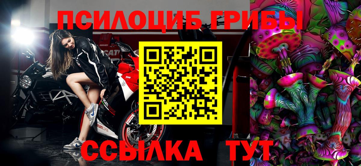 Галлюциногенные грибы мухоморы Коряжма