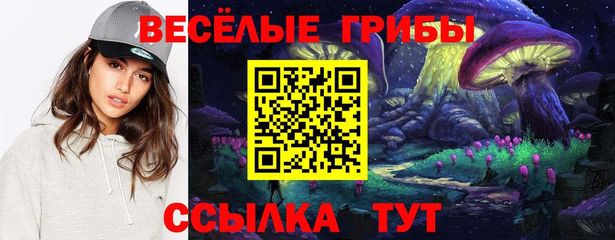 Галлюциногенные грибы мицелий  Вход с VPN  Псилоцибиновые грибы Psilocybe  где купить наркоту  Коряжма 